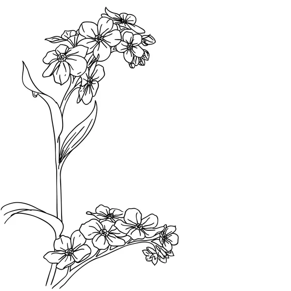 光を背景にした柔らかい双子の花の蘭 — ストックベクタ