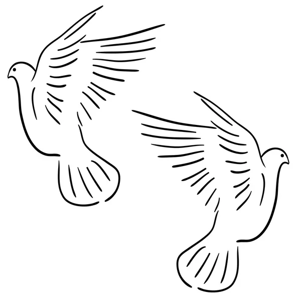 Set of white vector doves. — Stock Vector