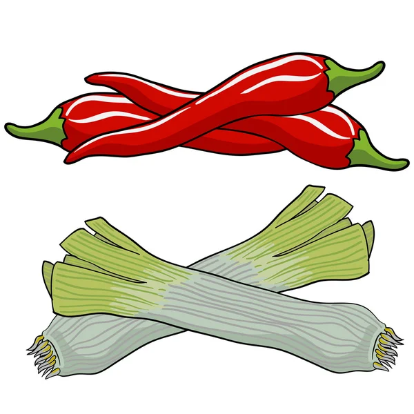 Leek and red pepper, vector illustration. — 图库矢量图片