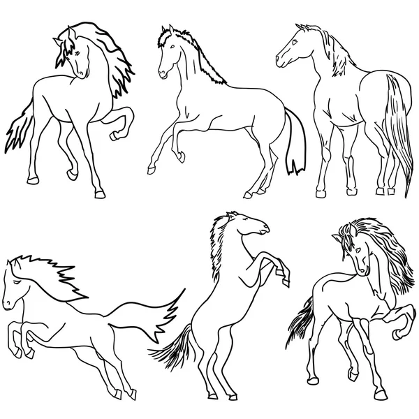 Conjunto de vectores. Silueta de caballo negro aislada en blanco para el diseño . — Archivo Imágenes Vectoriales