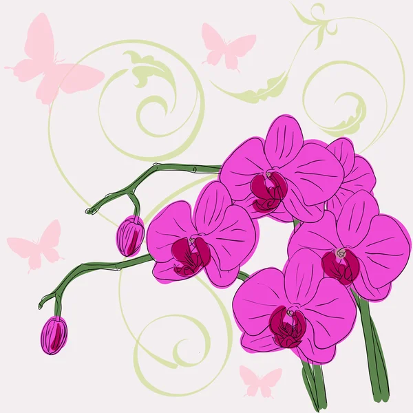 Цветущие орхидеи — стоковый вектор