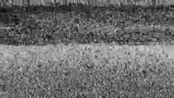 Écran de télévision aucun signal, bruit statique et statique TV remplir l'écran (boucle). HD 