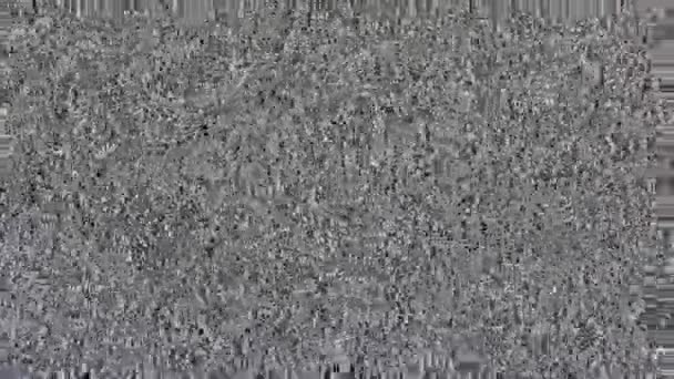 TV screen no signal, static noise and TV static fill the screen (Loop). HD — Stock Video