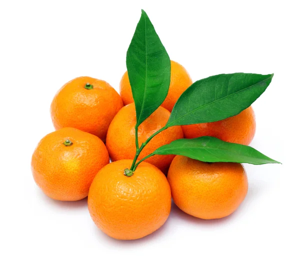 Mandarinas maduras o mandarina con hoja aislada sobre fondo blanco —  Fotos de Stock