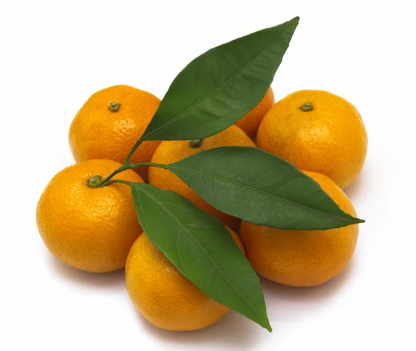 Mandarinas maduras o mandarina con hoja aislada sobre fondo blanco —  Fotos de Stock