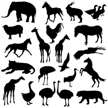 Black set silhouettes  zoo animals collection on white backgroun