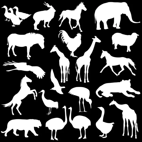 Ensemble noir silhouettes zoo animaux collection sur fond blanc — Image vectorielle