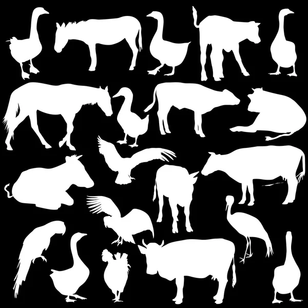 黒白い背景にシルエットの動物園の動物コレクションを設定 — ストックベクタ