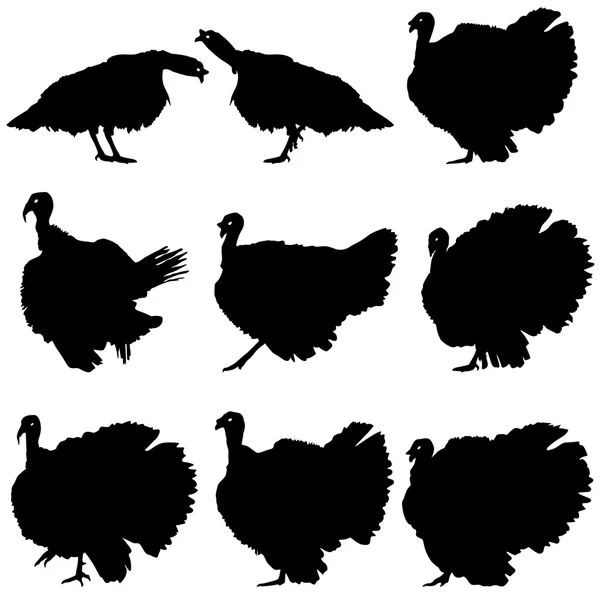 Silhouettes of turkeys. Vector illustration. — Stock Vector