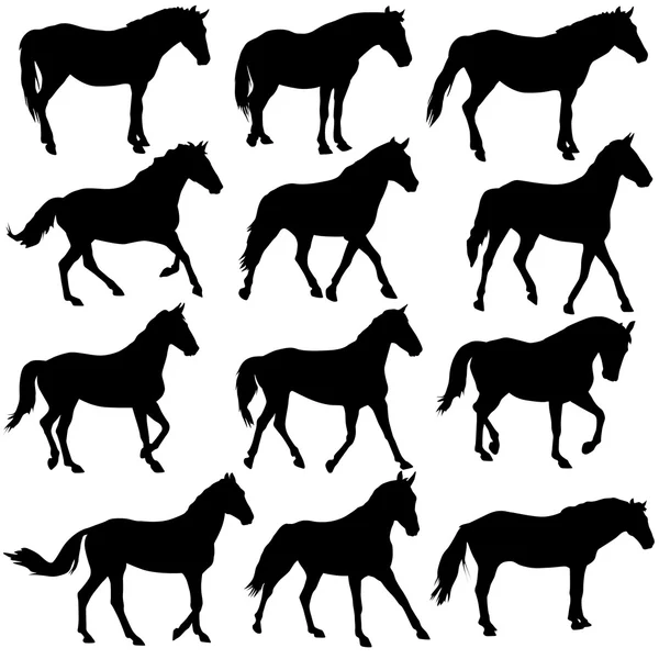 Set vector silhouette of horse — Stock Vector