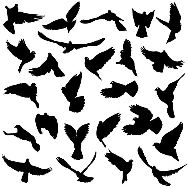 Concepto de amor o paz. Conjunto de siluetas de palomas. Vector il — Vector de stock