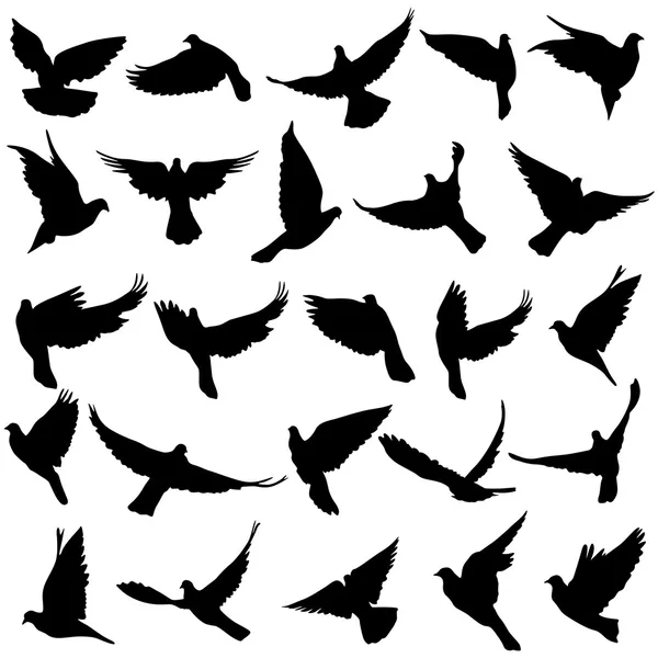 Concepto de amor o paz. Conjunto de siluetas de palomas. Vector il — Vector de stock