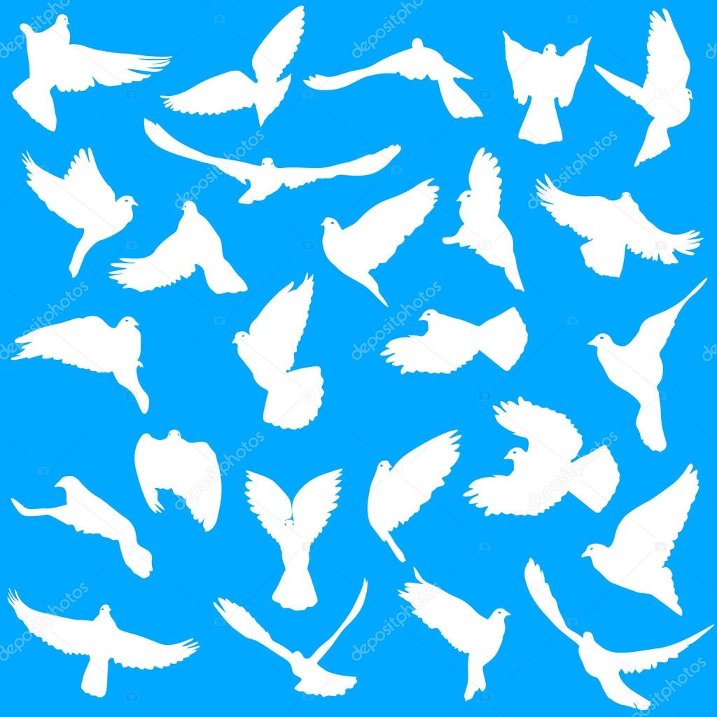 上鳩 平和 イラスト アニメ画像