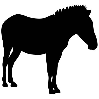 Beyaz zemin üzerine siluet Afrika zebra.