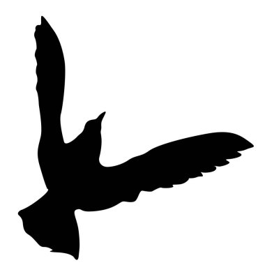 Aşk ya da barış kavramı. Güvercinleri yerleştirin. Sevgi ya da barış için. Güvercinler.