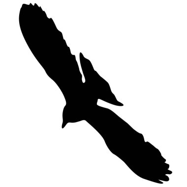 Aşk ya da barış kavramı. Güvercinleri yerleştirin. Sevgi ya da barış için. Güvercinler.