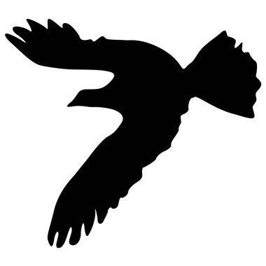 Aşk ya da barış kavramı. Güvercinleri yerleştirin. Sevgi ya da barış için. Güvercinler.