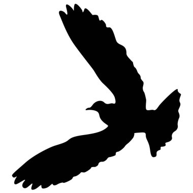 Aşk ya da barış kavramı. Güvercinleri yerleştirin. Sevgi ya da barış için. Güvercinler.