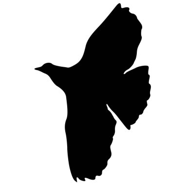 Aşk ya da barış kavramı. Güvercinleri yerleştirin. Sevgi ya da barış için. Güvercinler.