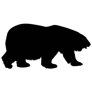 Beyaz arka planda siluet kutup ayısı.