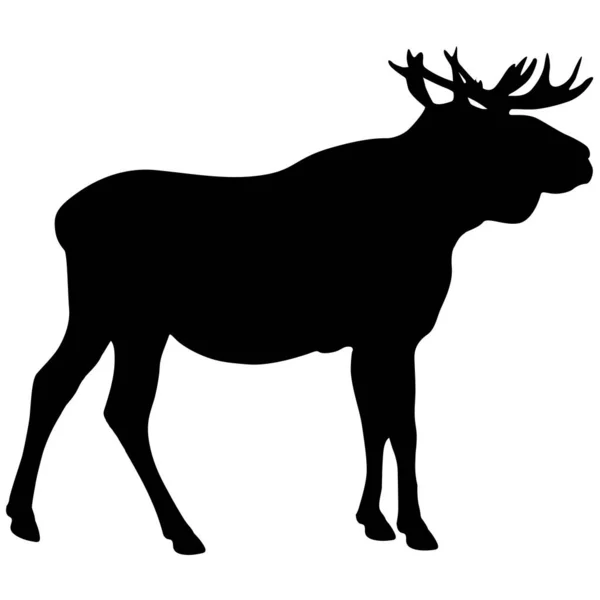 Silhouette Moose Great Antler White Background — Stock Vector