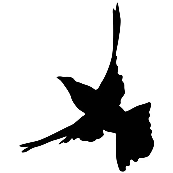 爱或和平的概念 设定鸽子的轮廓 Don 我不爱和平 鸽子侧写 — 图库矢量图片