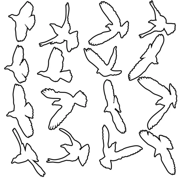 爱或和平的概念 设定鸽子的轮廓 Don 我不爱和平 设定了鸽子的轮廓 — 图库矢量图片