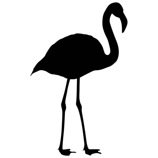 Silhouette Bird Flamingo White Background — Stock Vector