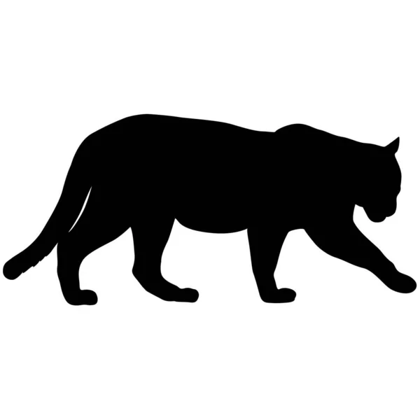 Silueta Hermosa Jaguar Sobre Fondo Blanco — Vector de stock