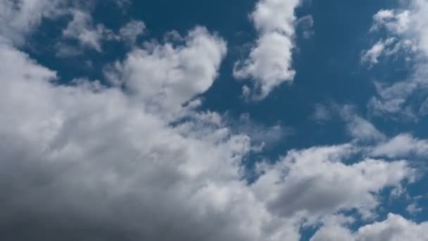 Time Lapse Flying Clouds Nature Background Birds Flicker — Stock Video