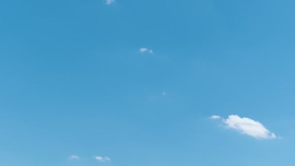 Tiempo Lapso Vuelo Nubes Naturaleza Fondo Aves Parpadeo — Vídeos de Stock