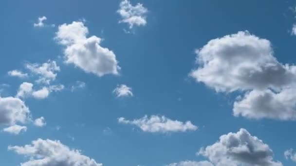 Timpul Trece Nori Zburători Natură Fundal Fără Păsări Nici Pâlpâie — Videoclip de stoc