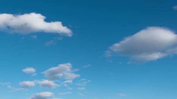 Tiempo Lapso Vuelo Nubes Naturaleza Fondo Aves Parpadeo — Vídeo de stock