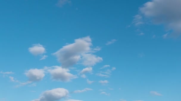 Tiempo Lapso Vuelo Nubes Naturaleza Fondo Aves Parpadeo — Vídeos de Stock