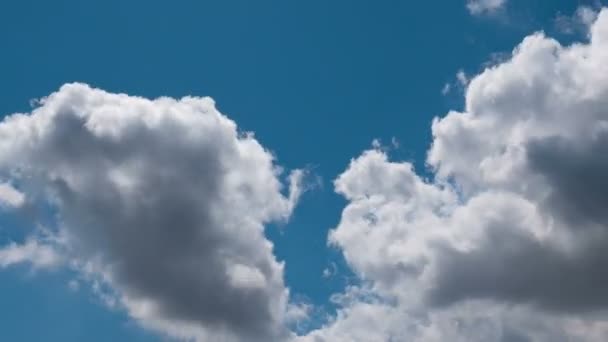 Zeitraffer Fliegender Wolken Natur Hintergrund Keine Vögel Kein Flackern — Stockvideo