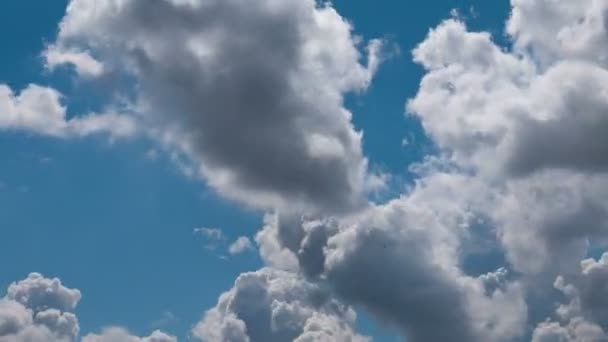 Zeitraffer Fliegender Wolken Natur Hintergrund Keine Vögel Kein Flackern — Stockvideo