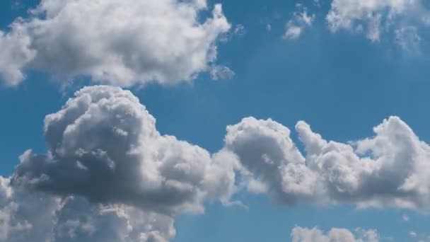 Tiempo Lapso Vuelo Nubes Naturaleza Fondo Aves Parpadeo — Vídeos de Stock