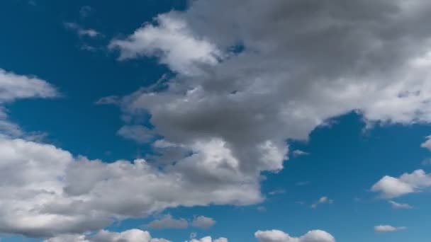 Uçan Bulutlarda Zaman Kaybı Arka Plan Kuş Yok Titreme Yok — Stok video