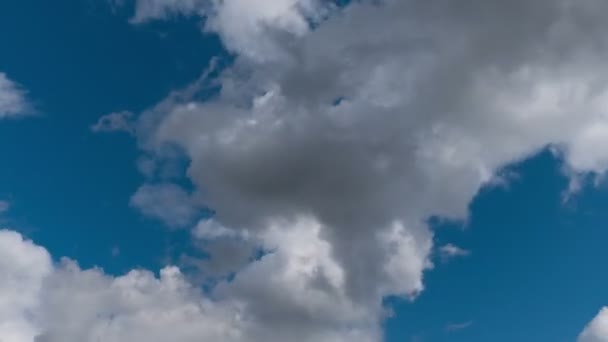 하늘을 구름의 경과는 자취를 남기지 않는다 — 비디오