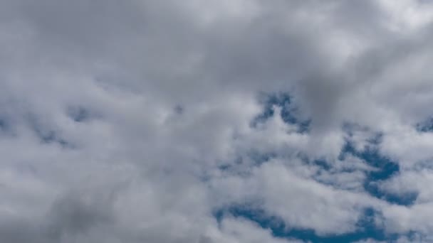 Time Lapse Flying Clouds Nature Background Birds Flicker — Stock Video