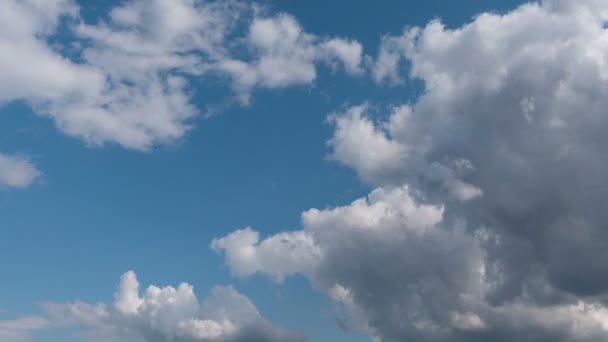 Zeitraffer Fliegender Wolken Natur Hintergrund Keine Vögel Kein Flackern — Stockvideo