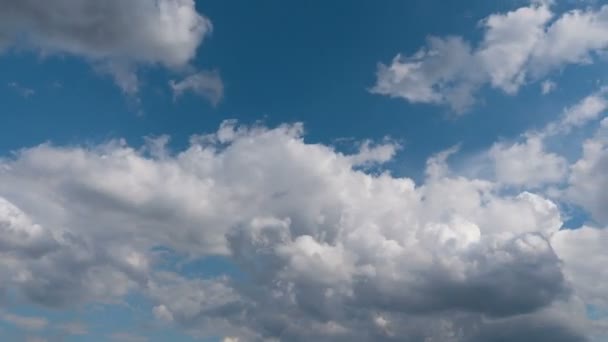 空飛ぶ雲の時間の経過自然背景なし鳥 フリッカーなし — ストック動画