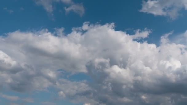 Időeltolódás Repülő Felhők Természet Háttér Nincs Madár Nincs Villanás — Stock videók