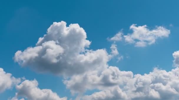 Czas Upływa Latające Chmury Natura Tło Bez Ptaków Bez Migotania — Wideo stockowe
