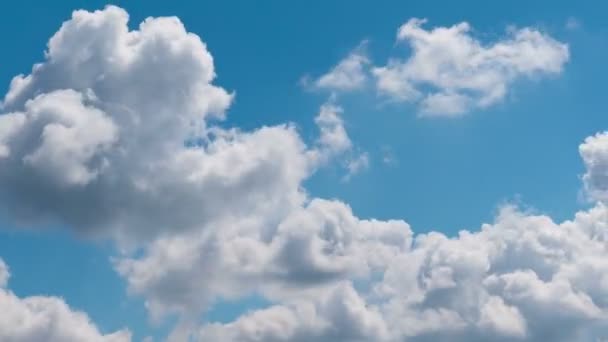 Tiempo Lapso Vuelo Nubes Naturaleza Fondo Aves Parpadeo — Vídeos de Stock