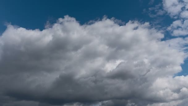 Tid Förflutit Flygande Moln Natur Bakgrund Inga Fåglar Ingen Flimmer — Stockvideo