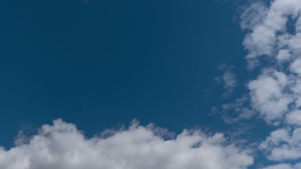 Tiempo Lapso Vuelo Nubes Naturaleza Fondo Aves Parpadeo — Vídeos de Stock