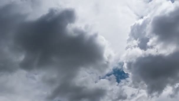 Временной Промежуток Полета Облаков Природный Фон Птиц Мерцания — стоковое видео