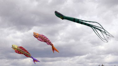 MOSCOW - 27 Ağustos 2017 'de Moskova, Rusya' da erkekler parka bir uçurtma fırlattı..