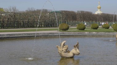 PETERSBURG, RUSSIA, 12 Mayıs 2018: 1944-1997 yılları arasında Petrodvorets olarak bilinen Petergof veya Peterhof ve 12 Mayıs 2018 'de St. Petersburg, Rusya' da Neptün Çeşmesi.